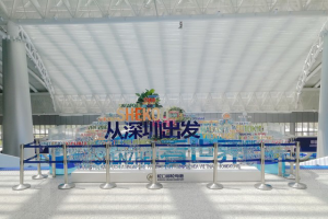 大灣區(qū)建設(shè)者返鄉(xiāng)過(guò)年 萬(wàn)順叫車“陸空”雙護(hù)航